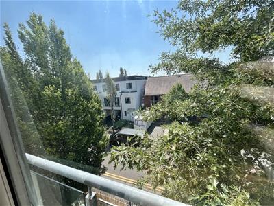 Picture 15